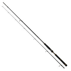 Daiwa New Bg Seabass 2.50m, 10-35gr 2p Spin Olta Kamışı