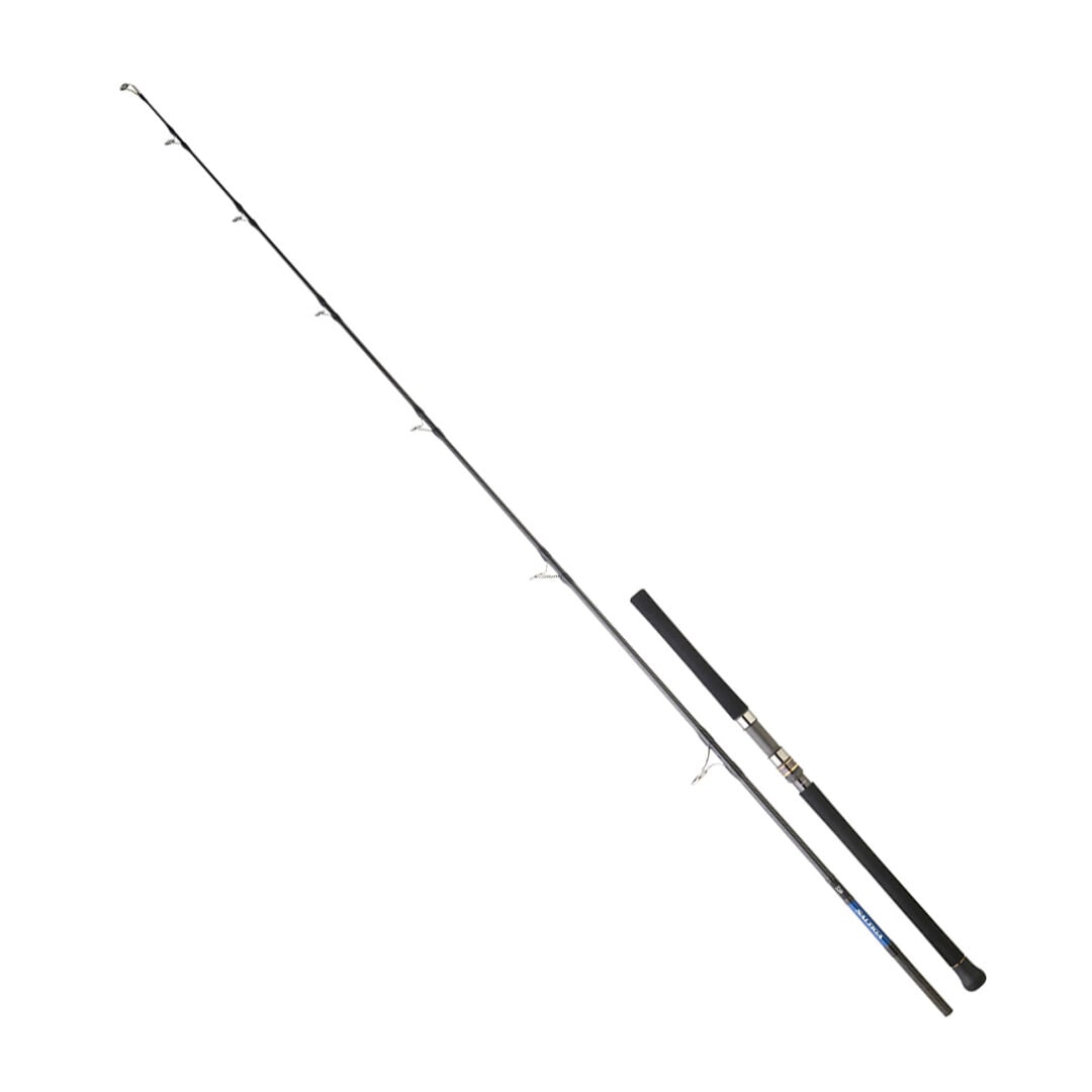 DAIWA SALTIGA GT CF 2.59M, 100-180GR, 1+1P JIG KAMIŞ