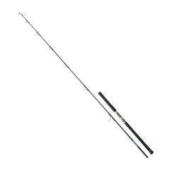 DAIWA SALTIGA GT CF 2.59M, 100-180GR, 1+1P JIG KAMIŞ