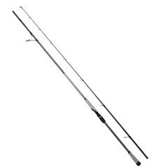 RYUJI MATRIX FUJI 3.00M 30-100 GR  2P SHORE JIG KAMIŞ