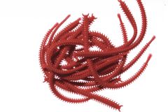 Marukyu ISOME IS-04L Kırmızı Large Silikon Yem