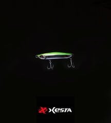 XESTA APPETITE SAHTE 60S UCHR