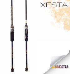 XESTA BLACK STAR EXTRA TUNED S74MX-T KAMIŞ 2.24M 1-20G 2P