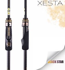 XESTA BLACK STAR EXTRA TUNED S74MX-T KAMIŞ 2.24M 1-20G 2P