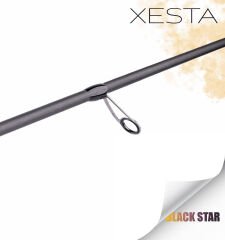 XESTA BLACK STAR EXTRA TUNED S74MX-T KAMIŞ 2.24M 1-20G 2P